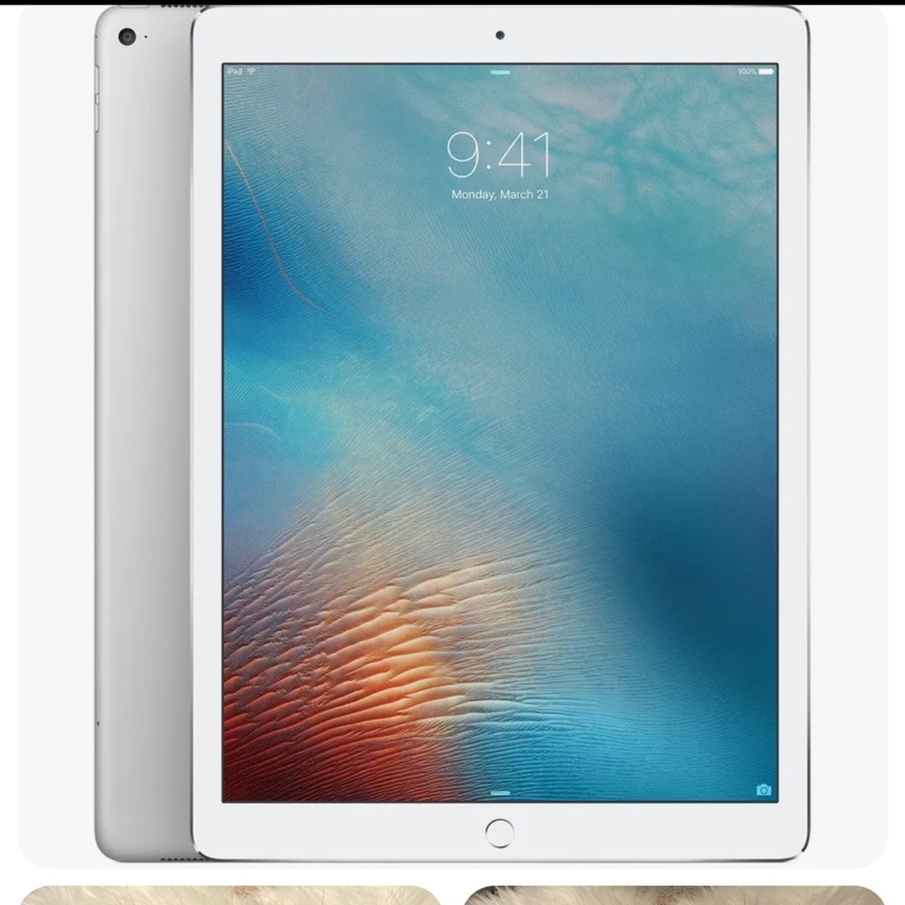 Apple iPad Pro 2nd Gen 12.9in 256g